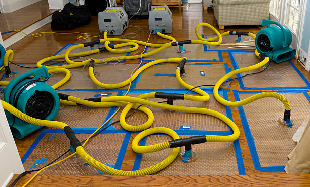 Professional Flood Damage Restoration technician working in Glen Cove, NY